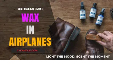 Can Shoe Shine Wax Be Packed in Airplanes? TSA Rules Explained