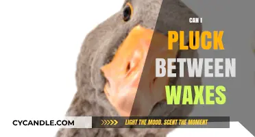 Plucking Between Waxes: Is It Safe or Skin Sabotage?