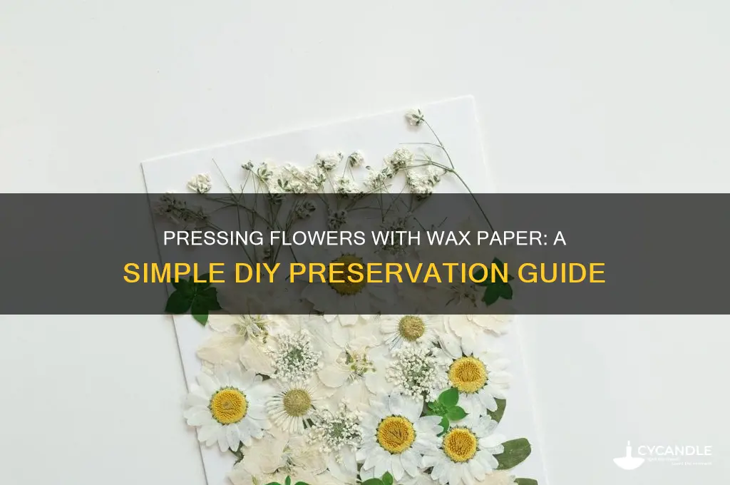can i press flowers with wax paper