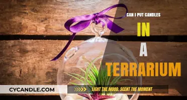 Candles in Terrariums: Safe, Stylish, or a Risky Idea?