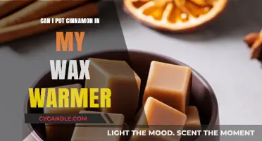 Can You Put Cinnamon in a Wax Warmer? Find Out Now!