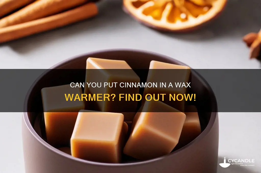 can i put cinnamon in my wax warmer