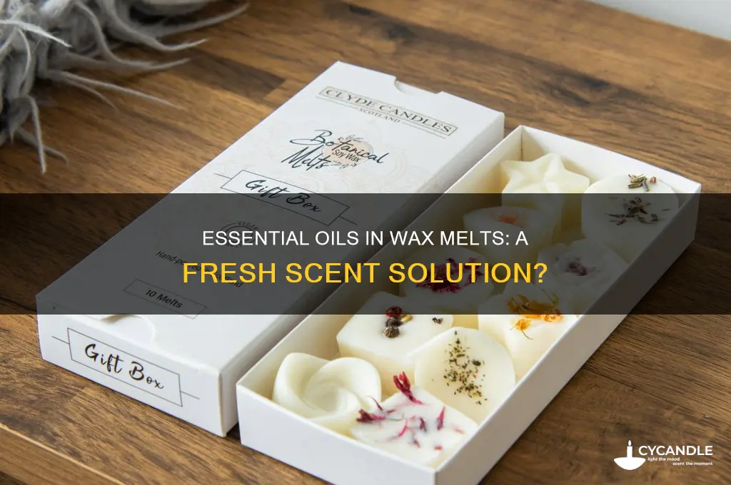 can i put essential oils into wax melt air freshener
