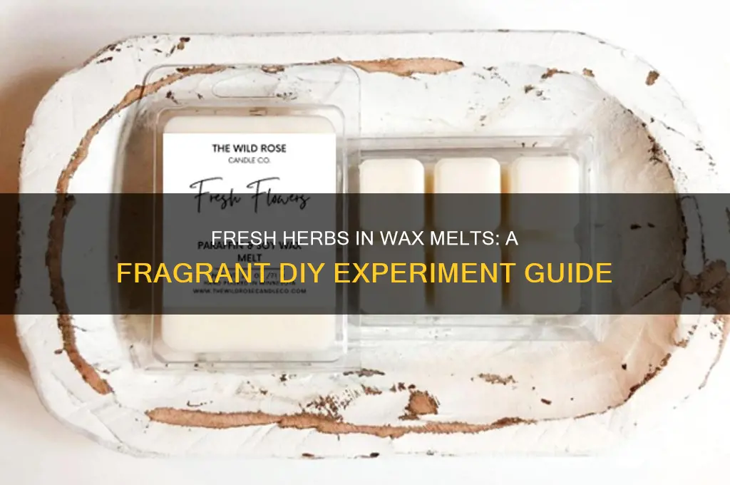 can i put fresh herbs in wax melts