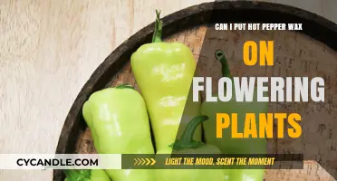 Hot Pepper Wax on Flowering Plants: Benefits, Risks, and How-To Guide