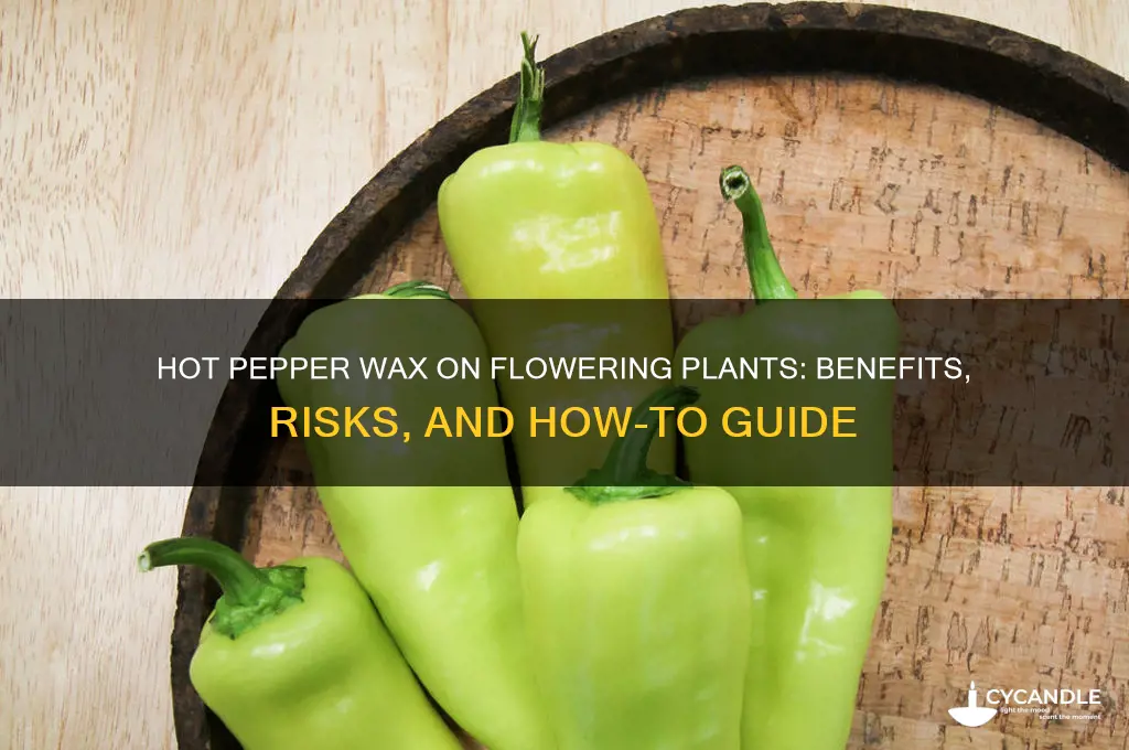 can i put hot pepper wax on flowering plants