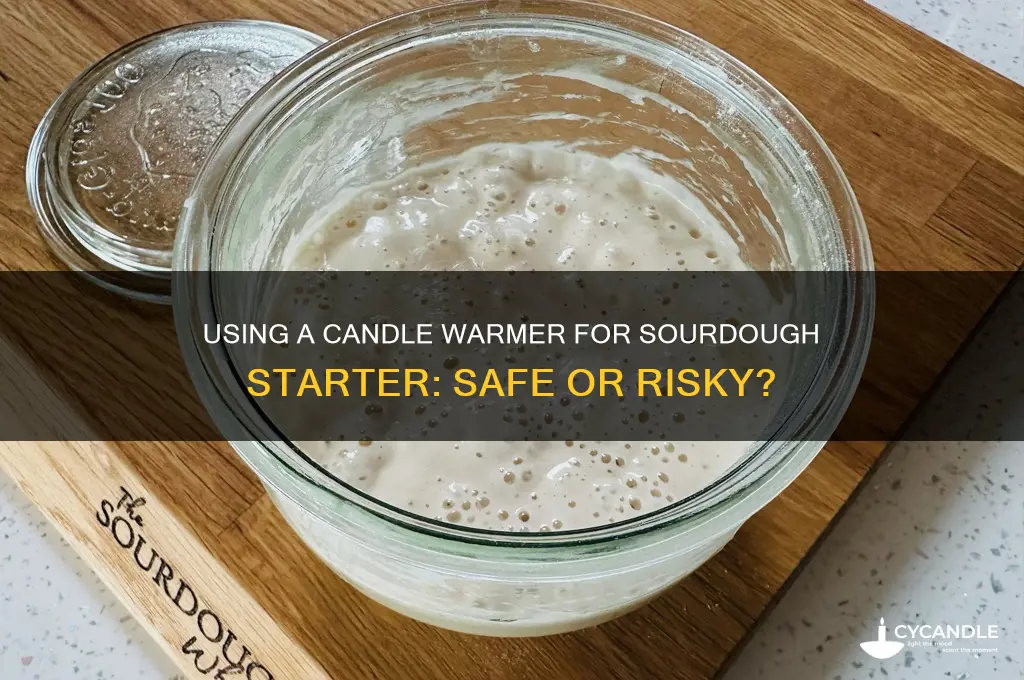can i put my sourdough startere on a candle warner