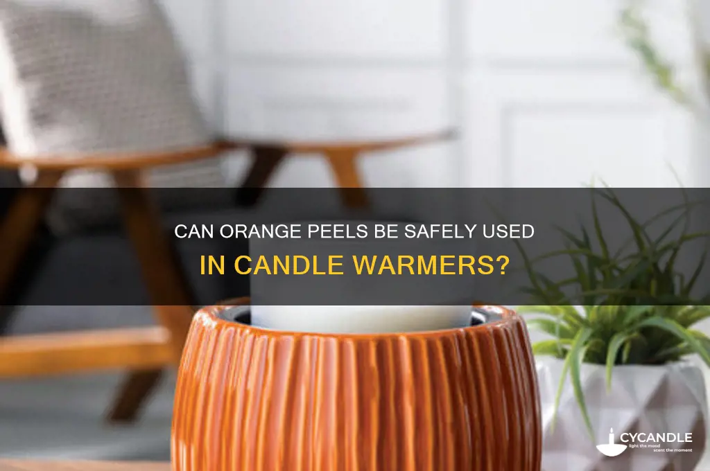 can i put orange peels in candle warmer