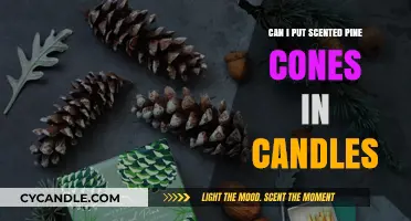 Scented Pine Cones in Candles: Safe, Effective, or Fire Hazard?