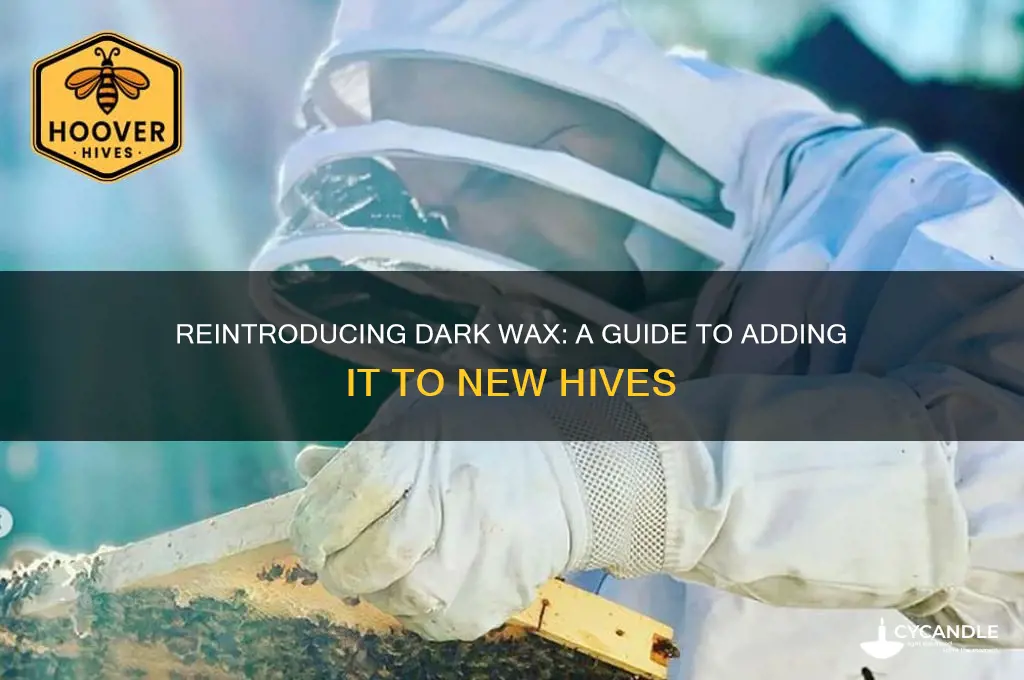 can i reintroduce dark wax into a new hive