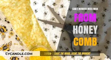 Rendering Beeswax from Honeycomb: A Simple DIY Guide for Beginners