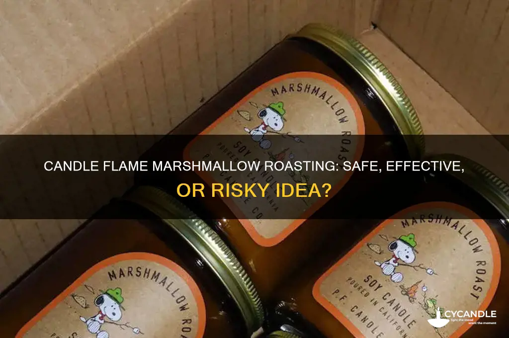 can i roast marshamllows on a candle flame