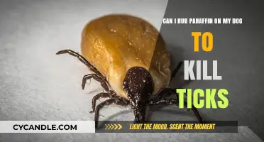 Is Paraffin Safe for Dogs? Tick Removal Tips and Risks
