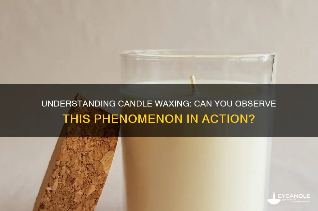 can i see candle waxing