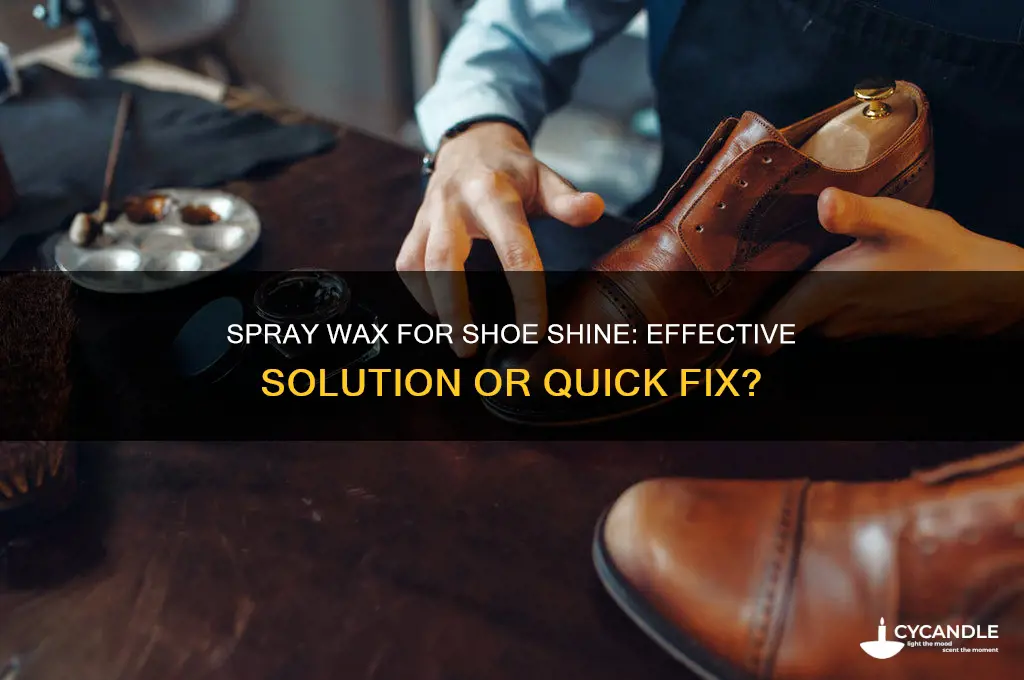 can i shine my shoes with a spray wax