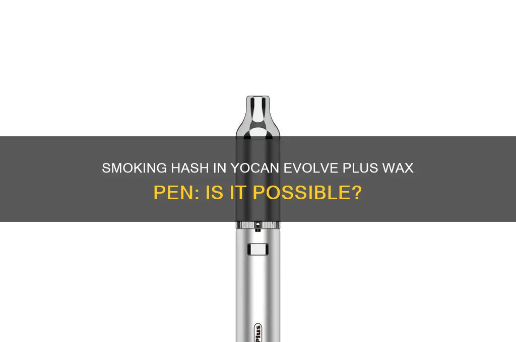 can i smoke hash in yocan evolve plus wax pen