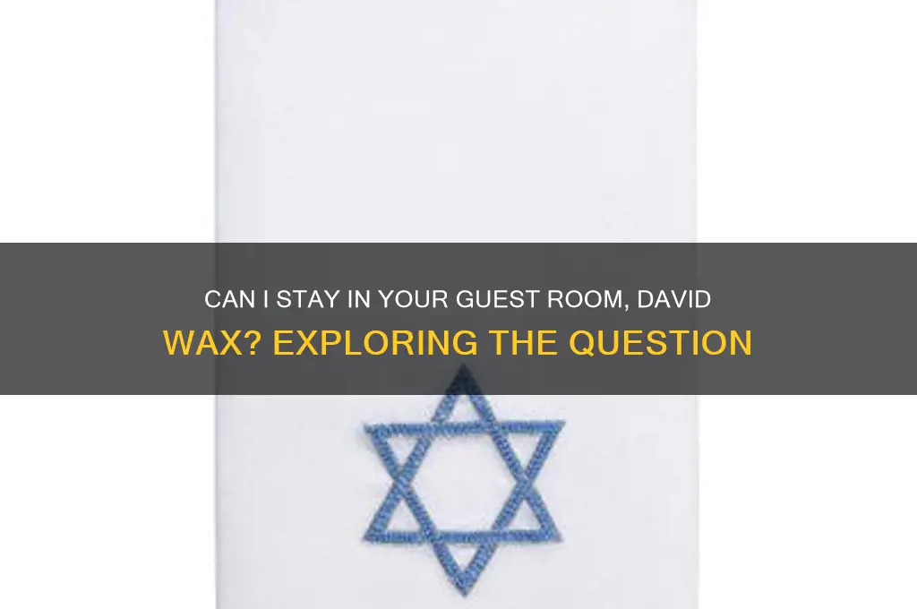 can i stay in your guest room david wax