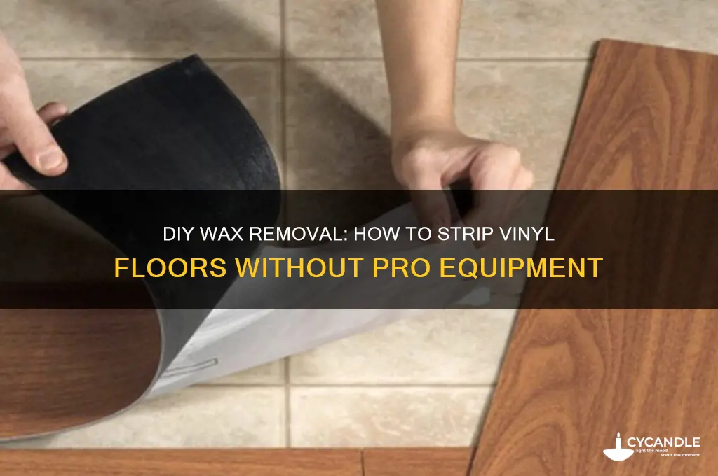 can i strip wax off vinyl floors without professional machines