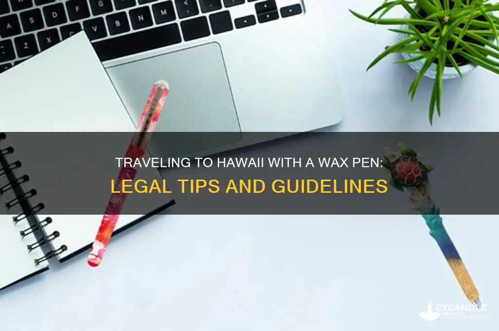 can i take a wax pen to hawaii