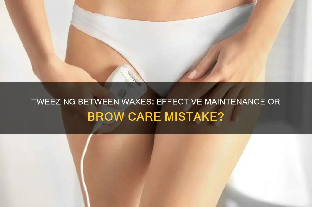 can i tweeze between waxes