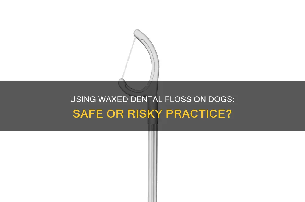 can i us waxed dental floss on my dog inflavored