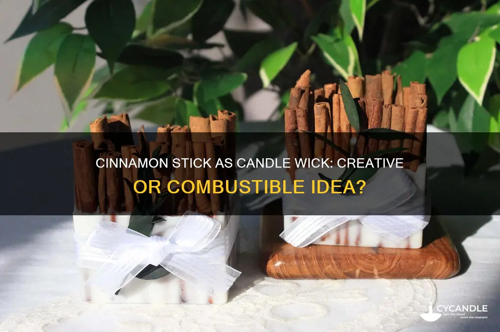 can i use a cinnamon stick as a candle wick