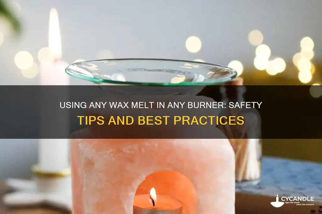can i use any wax melt in any burner