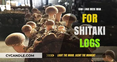 Using Beeswax for Shiitake Logs: Benefits, Techniques, and Tips