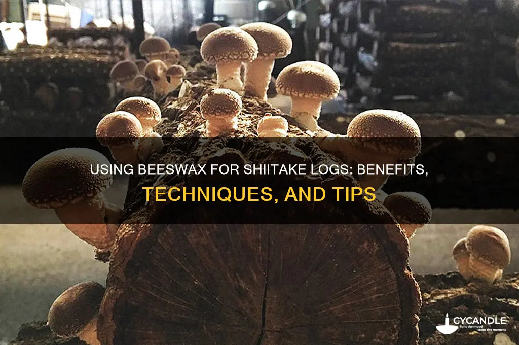 can i use bees wax for shitaki logs