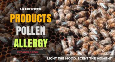 Beeswax Products and Pollen Allergies: Safe to Use or Risky?