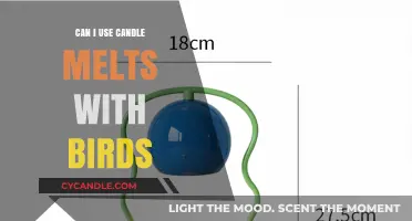 Bird-Safe Scents: Using Candle Melts Around Your Feathered Friends