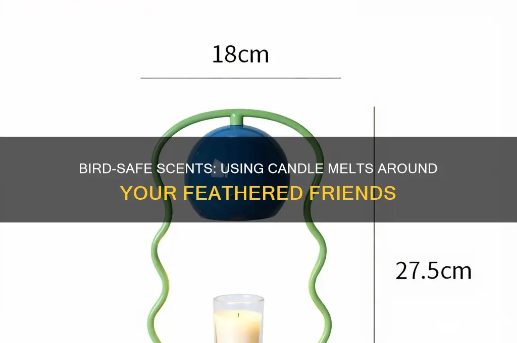 can i use candle melts with birds