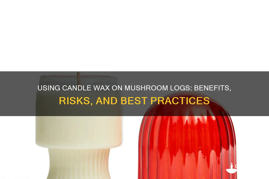 can i use candle wax on mushroom logs