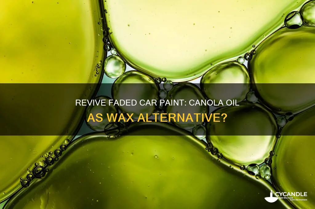 can i use canola oil to wax faded car paint