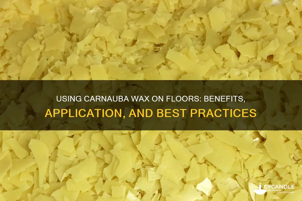 can i use carnuba wax on my floors