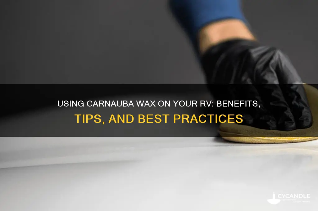 can i use carnuba wax on myrv