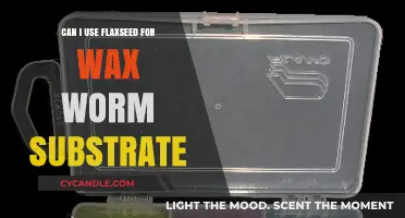 Using Flaxseed as Wax Worm Substrate: Benefits and Best Practices
