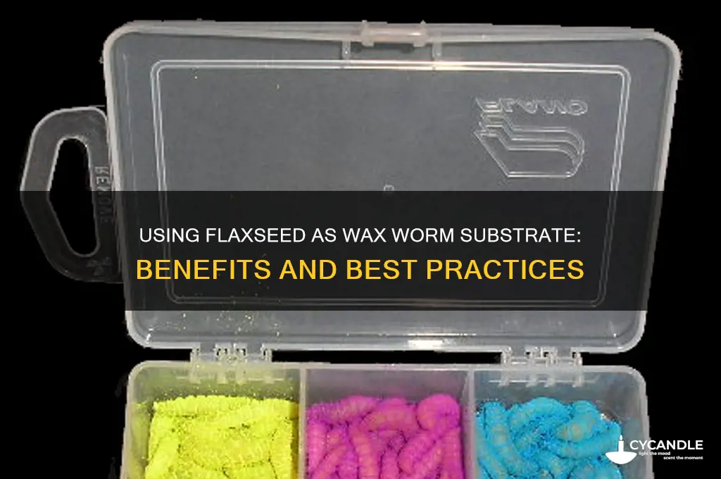 can i use flaxseed for wax worm substrate