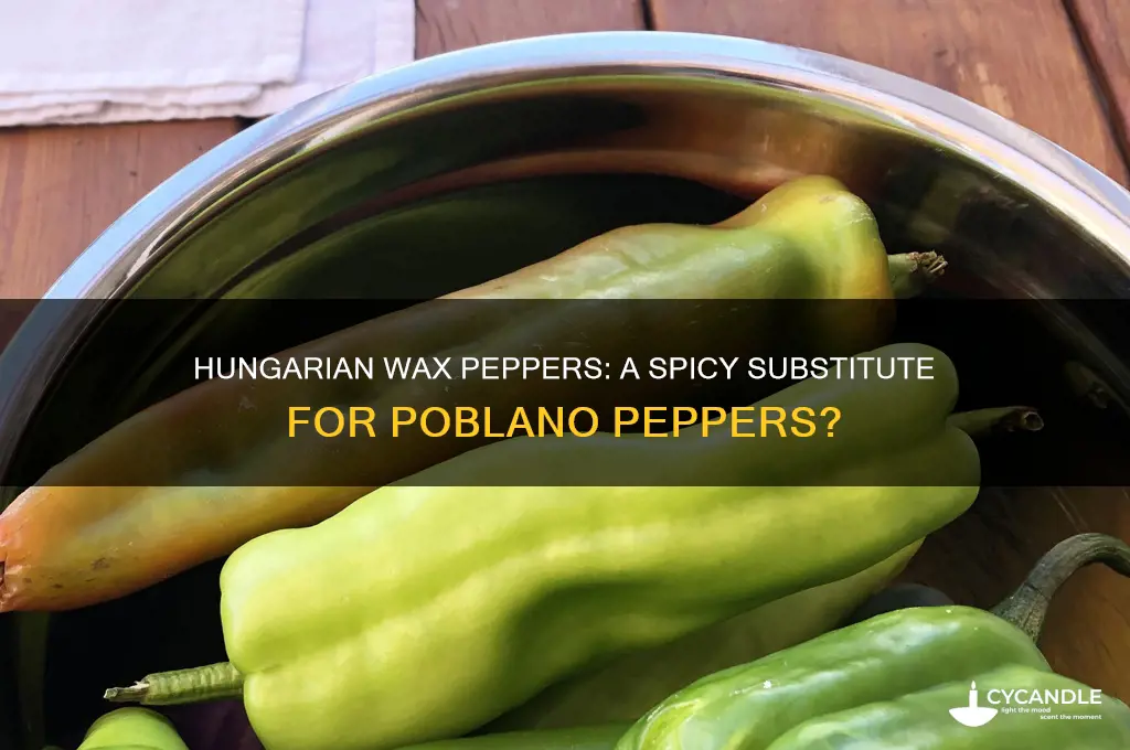can i use hungarian wax pepper to substitute for pablano