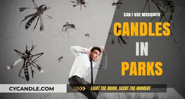 Mosquito Candles in Parks: Safe, Effective, or Breaking the Rules?