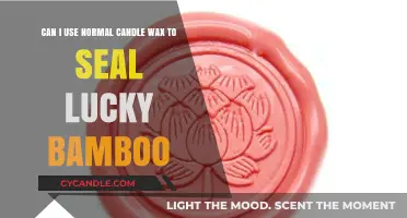 Using Regular Candle Wax to Seal Lucky Bamboo: Safe or Risky?