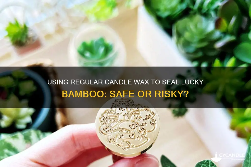 can i use normal candle wax to seal lucky bamboo