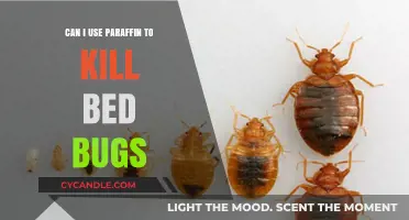 Using Paraffin to Kill Bed Bugs: Safe, Effective, or Risky?