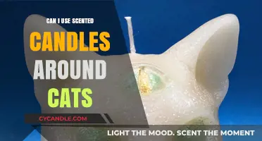 Are Scented Candles Safe for Cats? A Pet Owner's Guide