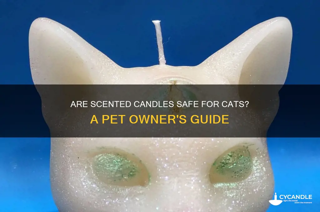 can i use scented candles around cats
