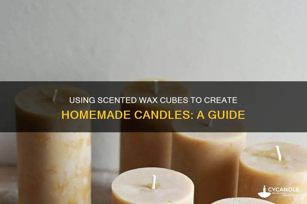 can i use scented wax cubes to make candles