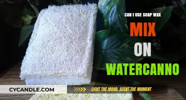 Soap Wax Mix for Water Cannons: Effective Cleaning Solution or Risk?