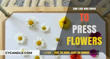 Using Wax Paper to Press Flowers: Tips and Techniques