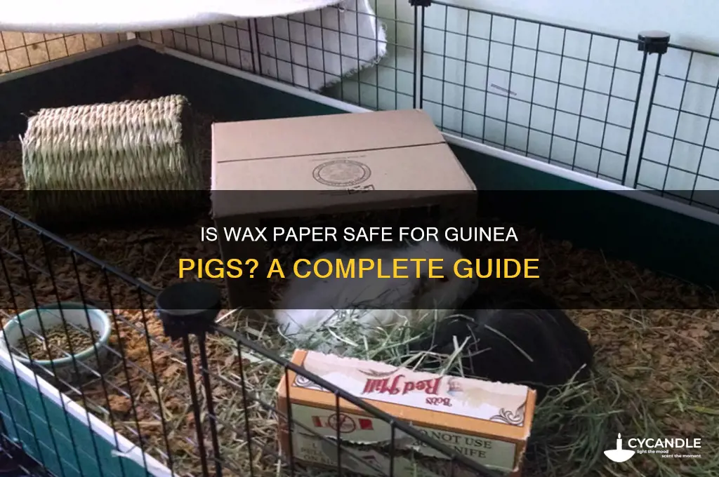 can i use wax paper with guinea pigs