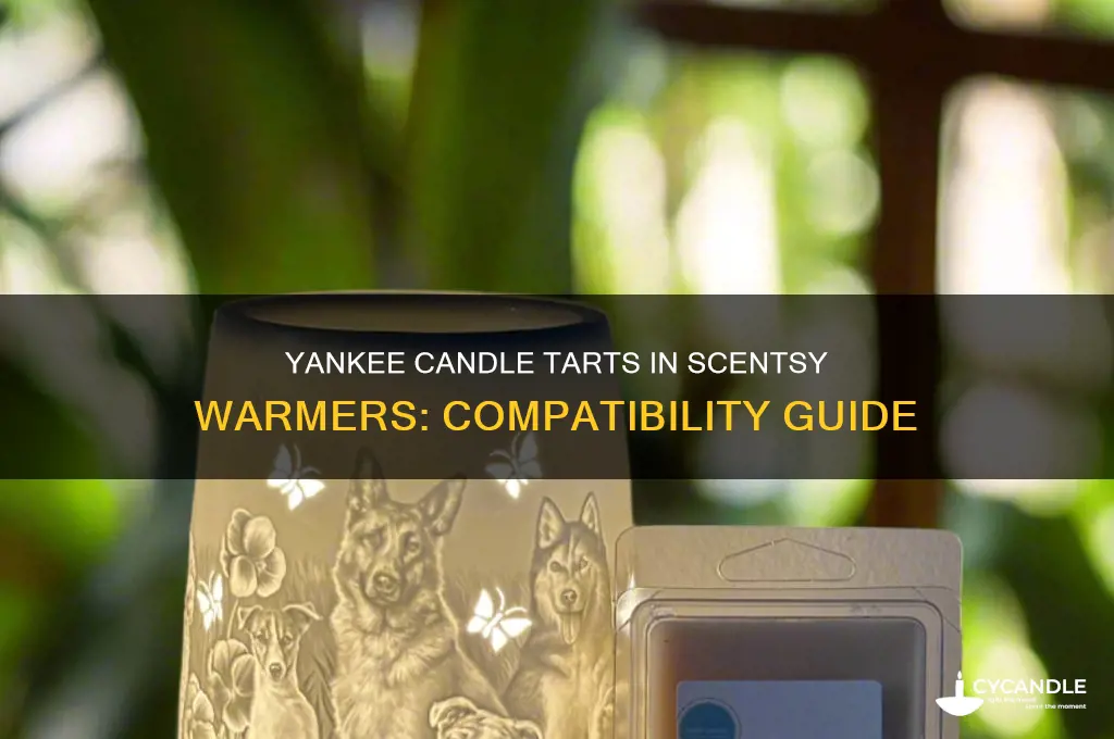 can i use yankee candle tarts in scentsy